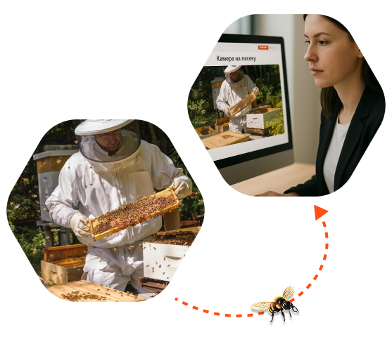 Пчеловод и декоративные элементы