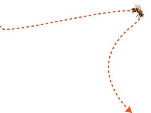 Стрелка с пчелой