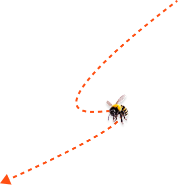 Стрелка с пчелой