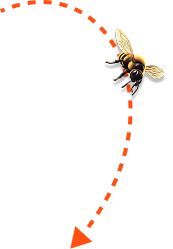 Стрелка с пчелой