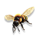 bee-front-view
